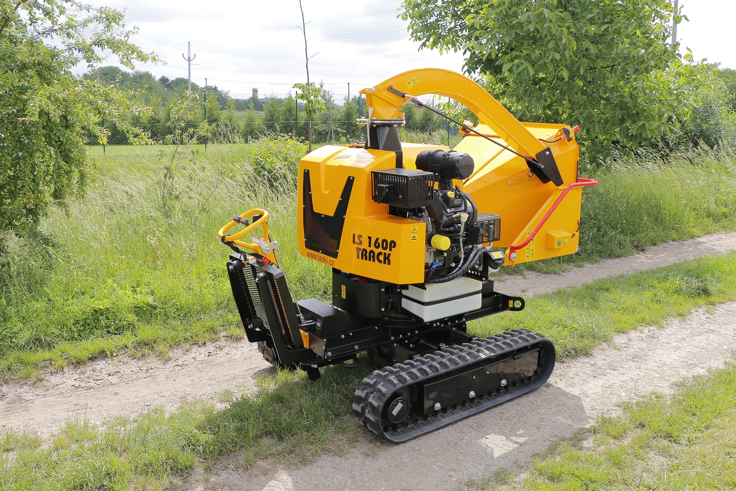 Masini Tocat Crengi LS 160 P